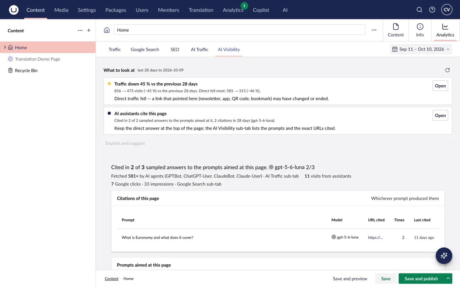 AI Visibility on a page